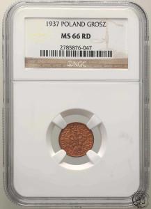 1 grosz 1937 NGC MS66 RD (2 MAX)