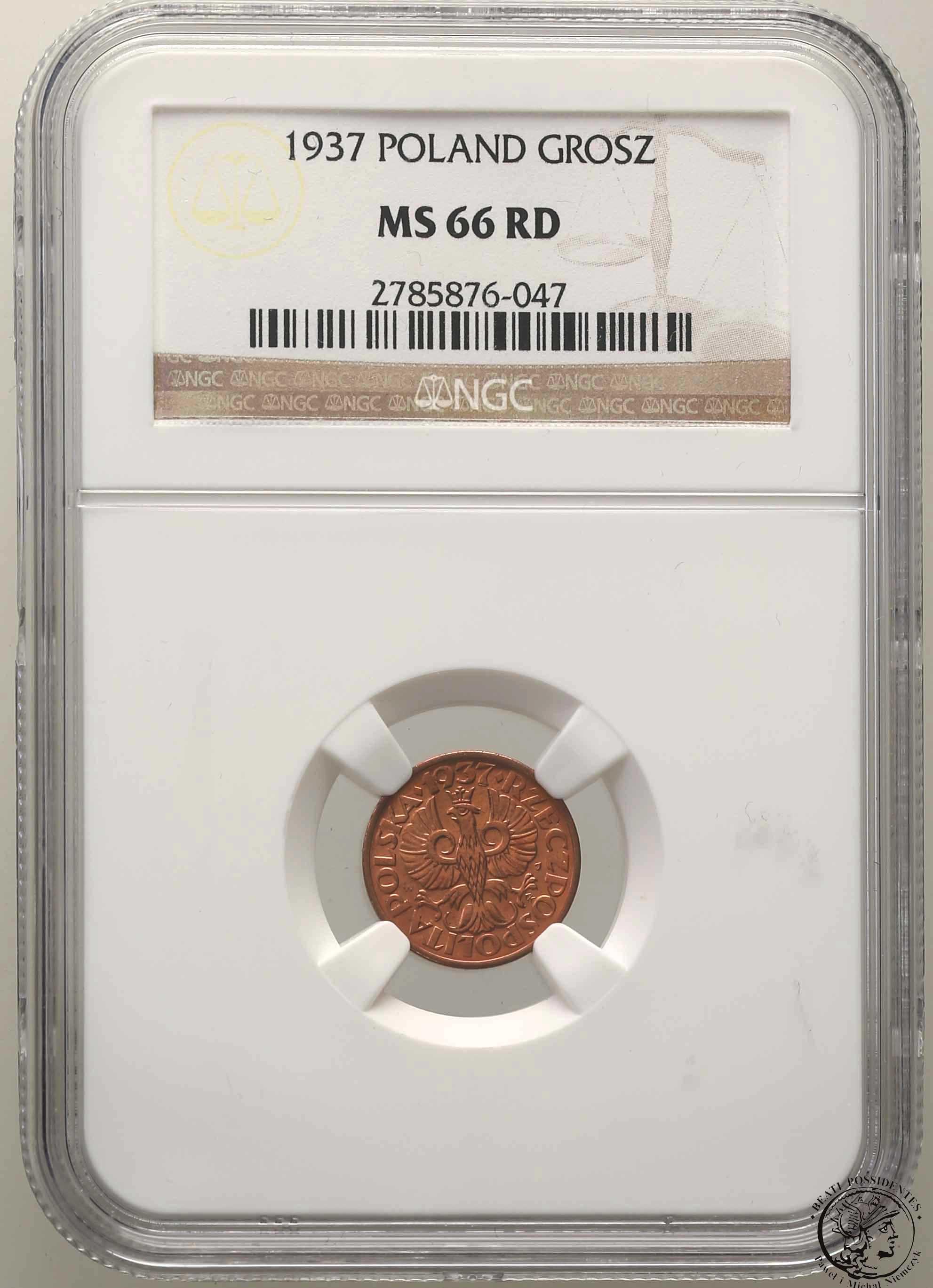 1 grosz 1937 NGC MS66 RD (2 MAX)