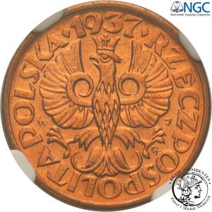 1 grosz 1937 NGC MS66 RD (2 MAX)