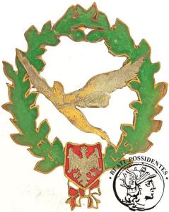 Odznaka 5 Eskadry Lotniczej