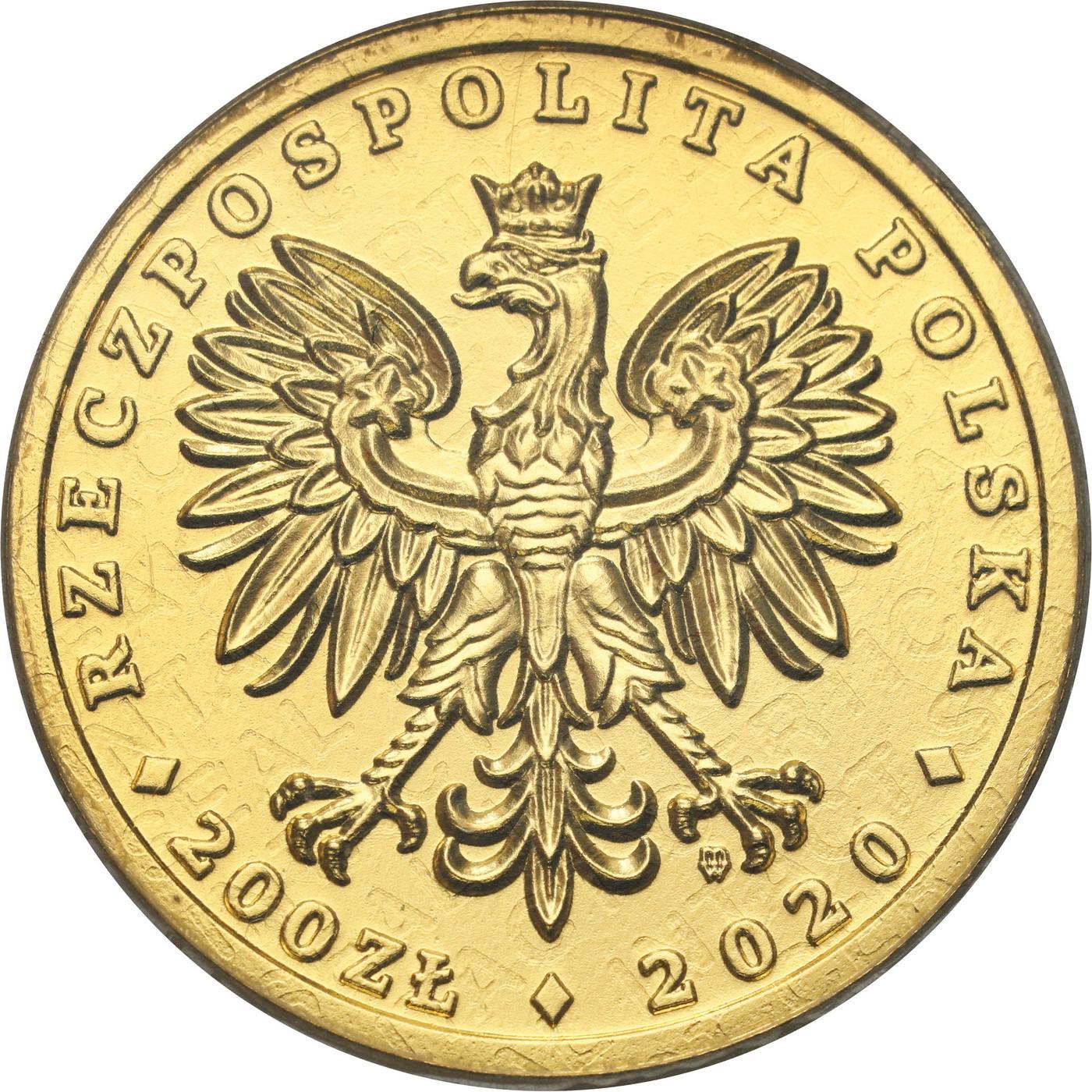 Polska. Złote 200 złotych 2020 Orzeł Bielik - 1/2 uncji złota