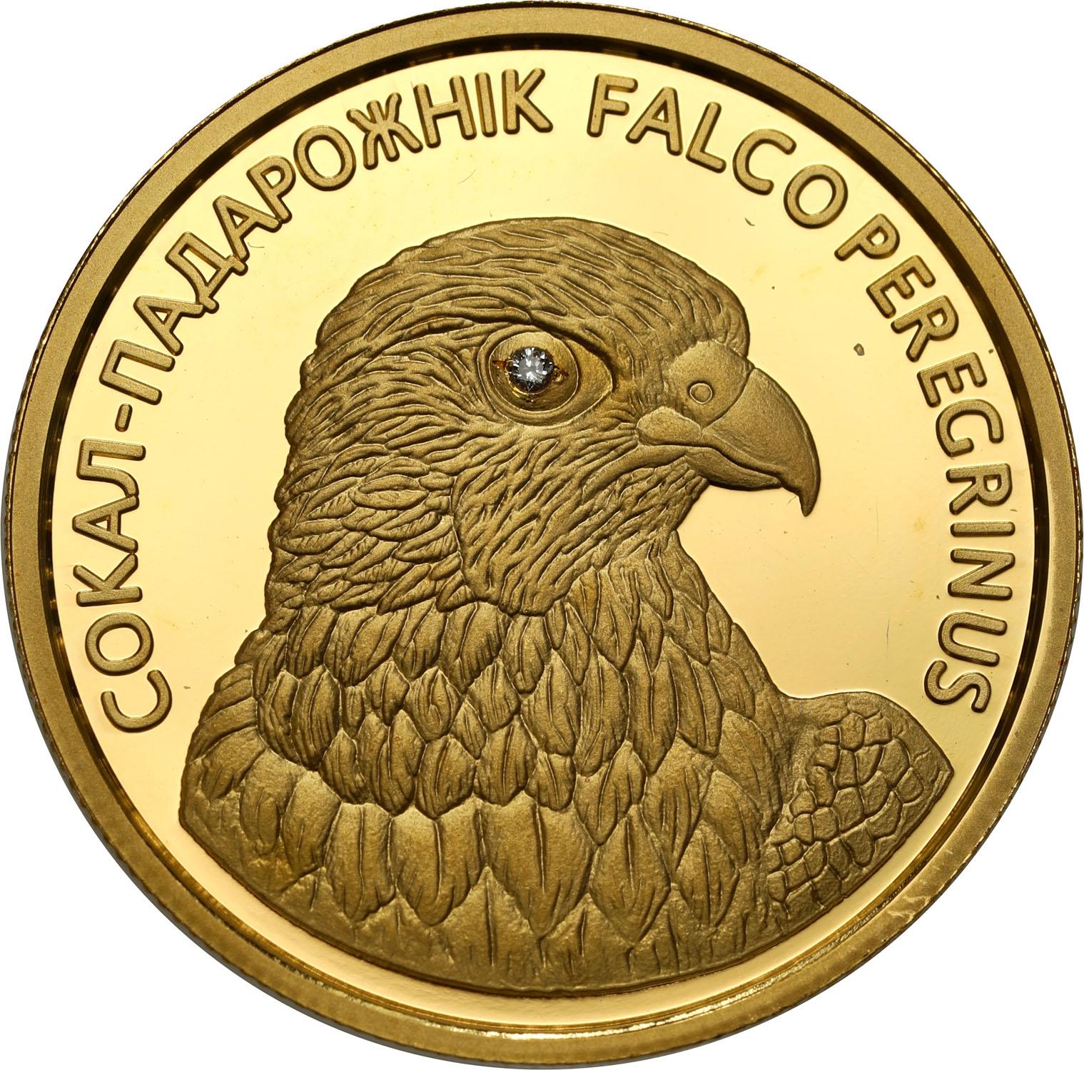 Białoruś 50 rubli 2006 Sokół Wędrowny brylant - 1/4 uncji złota